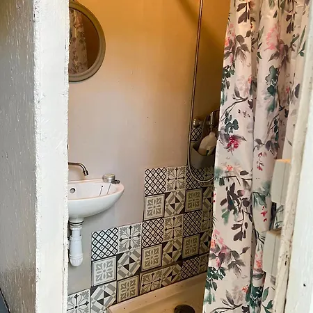 Campsite Dans Les Bois