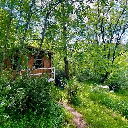 Campsite Dans Les Bois *