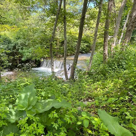 Dans Les Bois Sumene