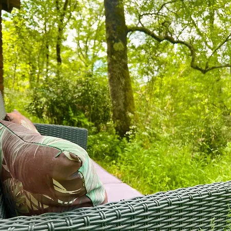 Campsite Dans Les Bois