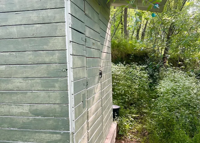 Dans Les Bois * Sumène