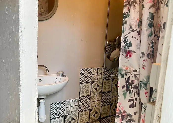 Camping Dans Les Bois