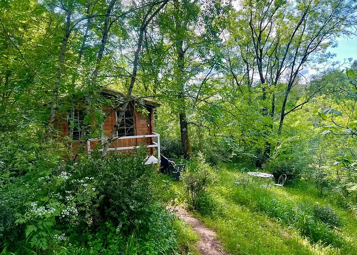 Camping Dans Les Bois *