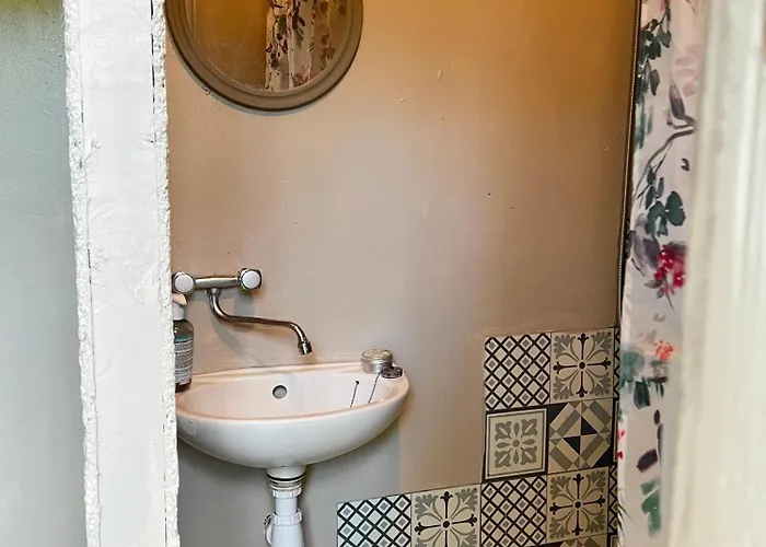 Camping Dans Les Bois