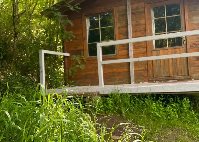 Dans Les Bois Camping