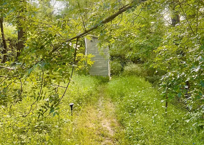 Camping Dans Les Bois Sumène