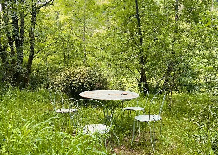 Dans Les Bois * Sumène