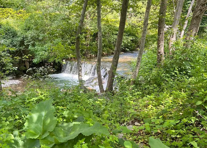 Dans Les Bois Sumène