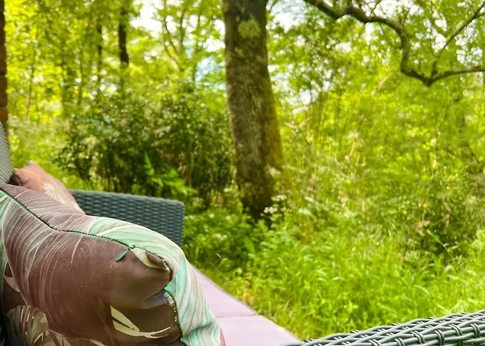 Camping Dans Les Bois